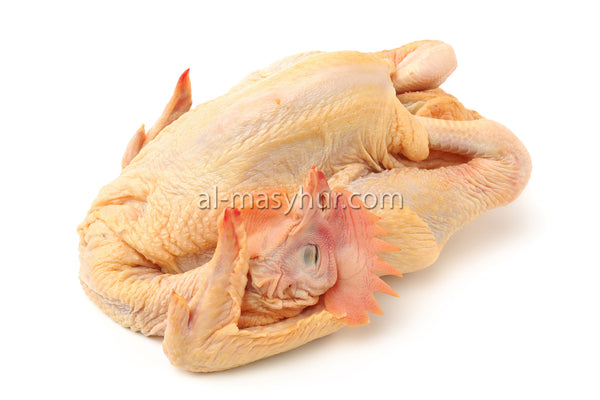 C03 - Kampung Fresh Chicken (M) 1.0-1.2kg