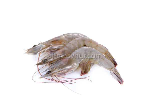 G03 - Grey Prawn (L) 1kg (Udang Kelabu)