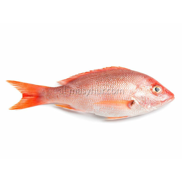 F01 - Red Snapper 1kg* (Ikan Merah)