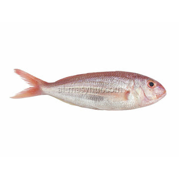 F16 - Small Seabream 1kg* (Ikan Kerisi Kecik) (5-6 fish/kg*)