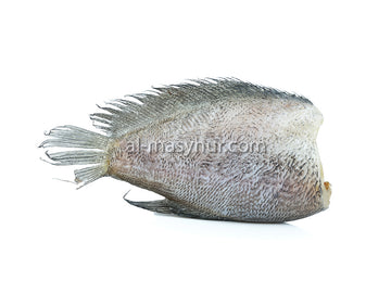 K11 - Salted Gourami 200g (Ikan Sepat Masin)