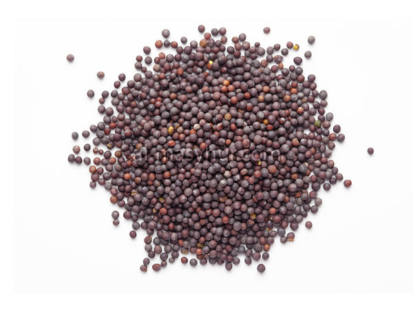 L15 - Mustard Seeds 50g (Biji Sawi)