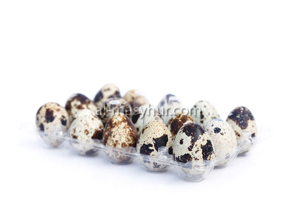 N47 - Quail Eggs 15 pieces (Telur Burung)