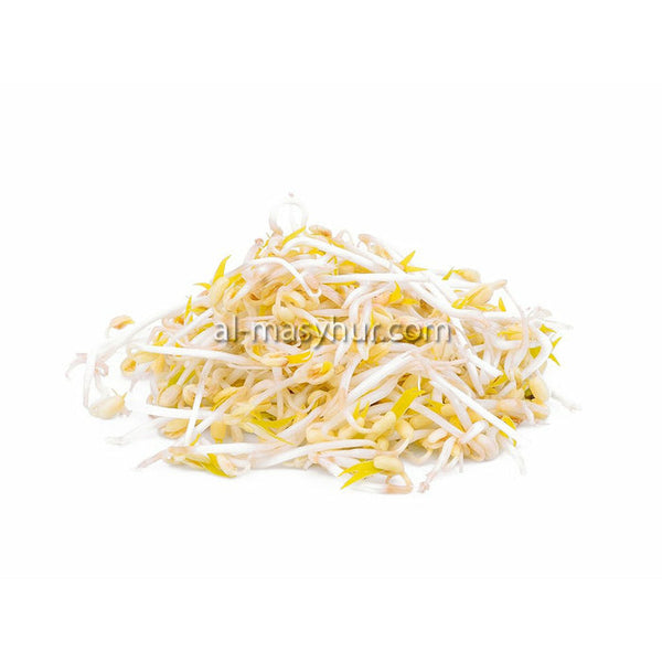 N01 - Beansprout 500g (Taugeh)